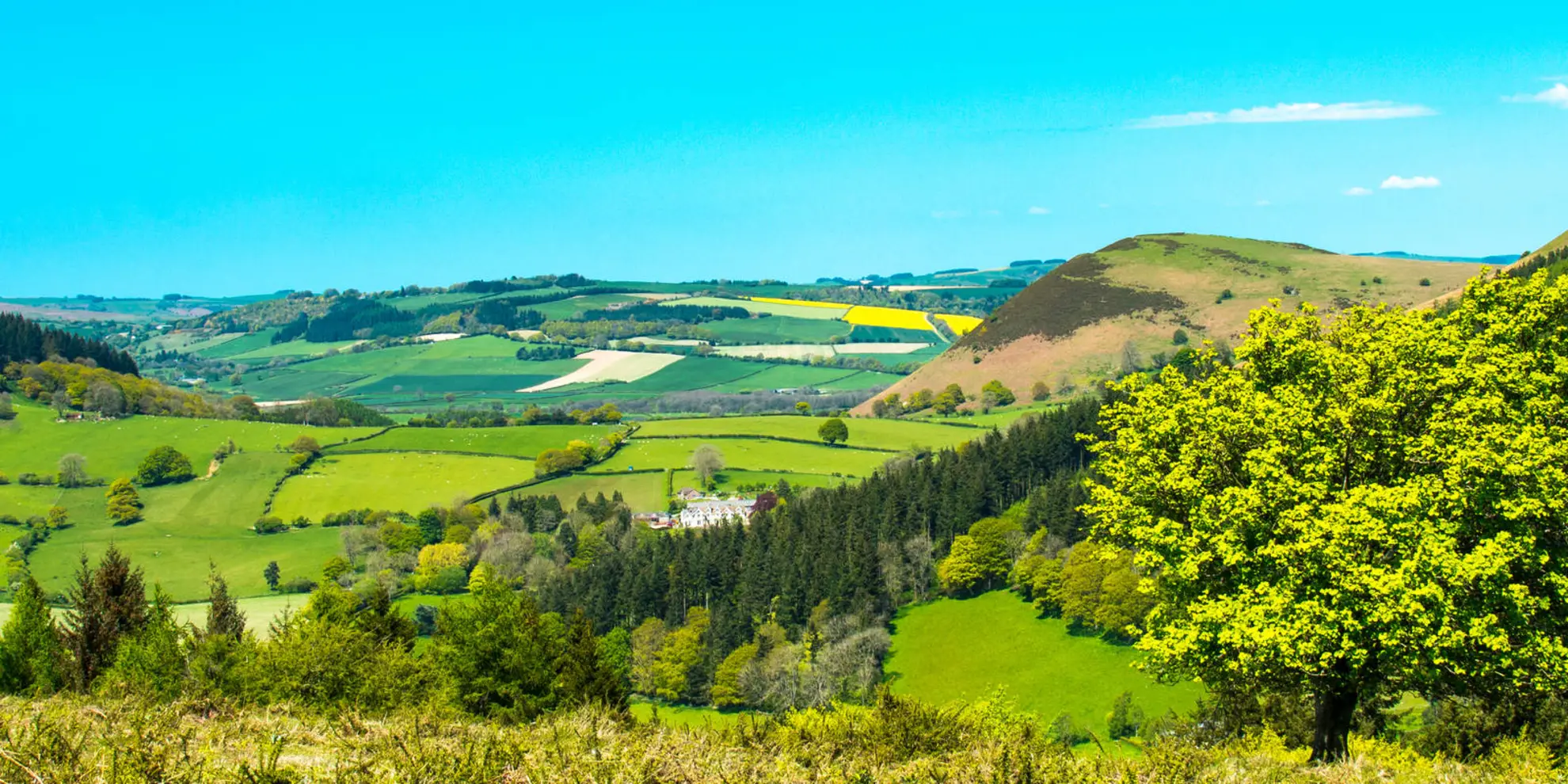 The view from Hergest Ridge